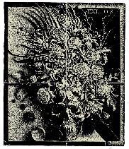 Oleg Sudlenkov “Bouquet” C,X5 82/70 2013